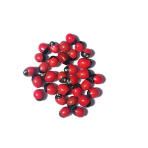 51 Gunja Beads Red