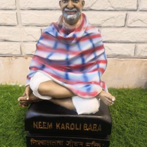 Neem Karoli Baba Size Approx 12 inch